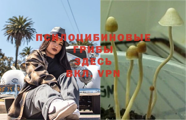 спиды Баксан