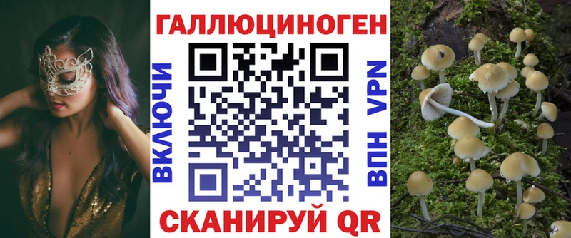 Галлюциногенные грибы Psilocybine cubensis  Новосиль 